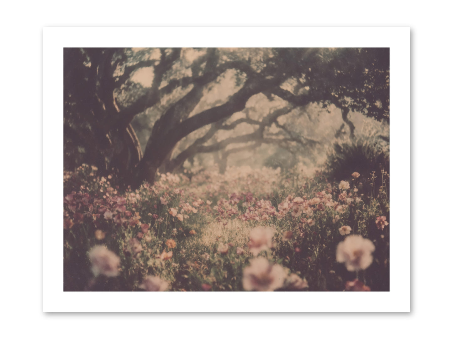 The Sweet Detour -- Paper Print 16x12