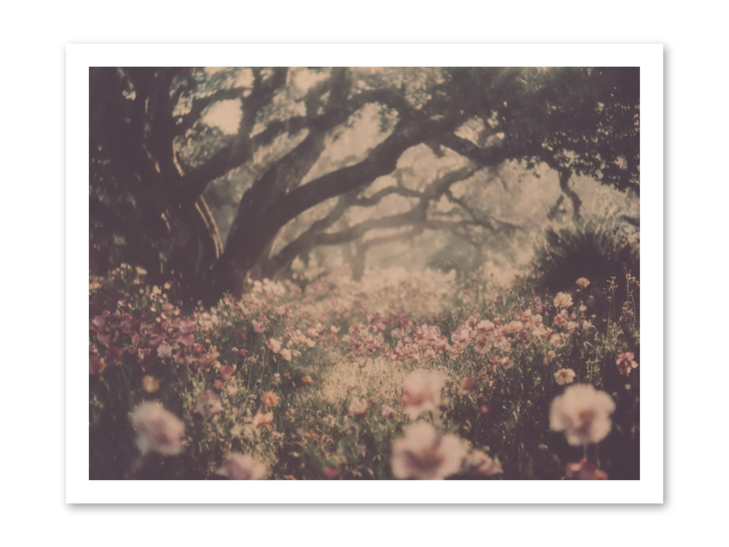 The Sweet Detour -- Loose Canvas Print 24x18