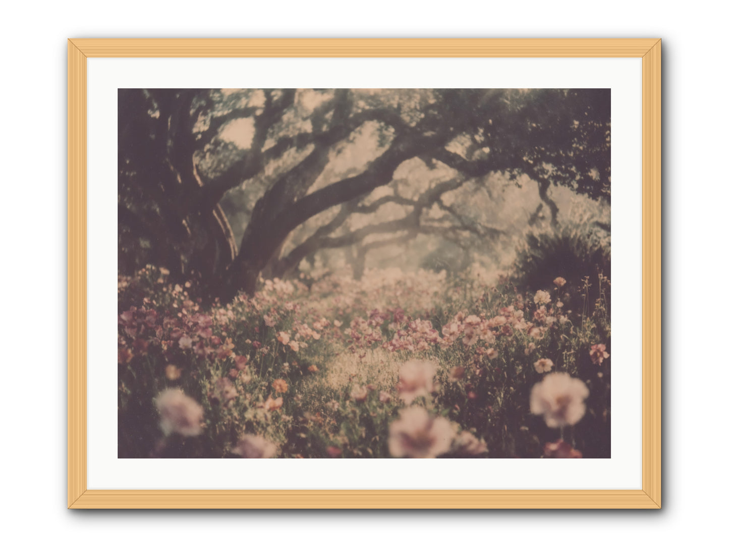 The Sweet Detour -- Framed Print - Natural 32x24
