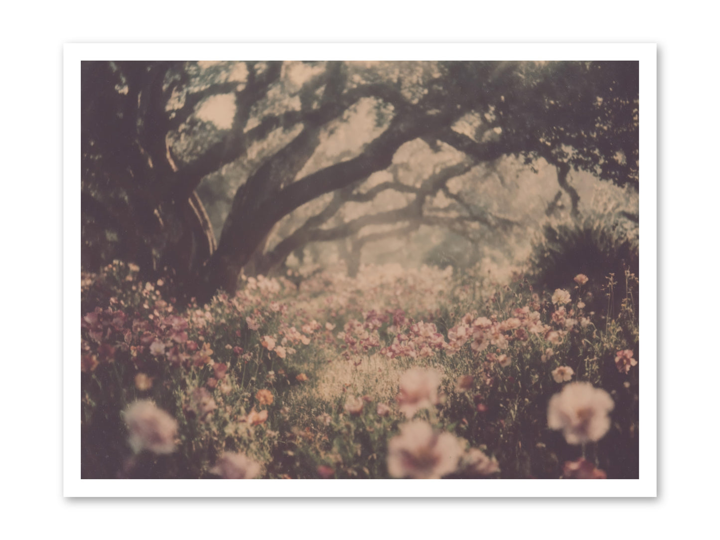 The Sweet Detour -- Loose Canvas Print 32x24