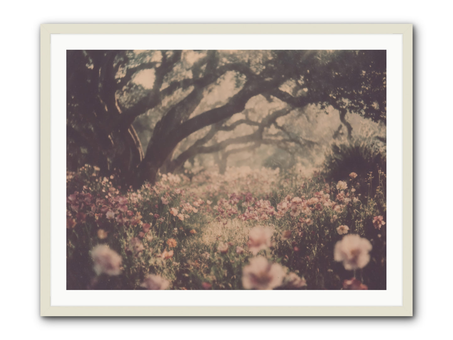 The Sweet Detour -- Framed Print - White 40x30