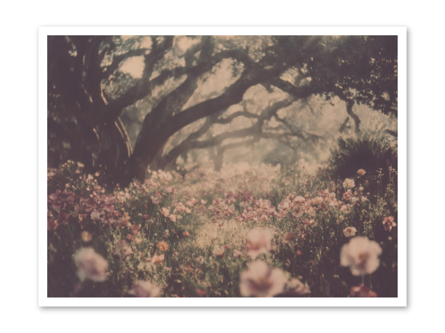 The Sweet Detour -- Paper Print 40x30