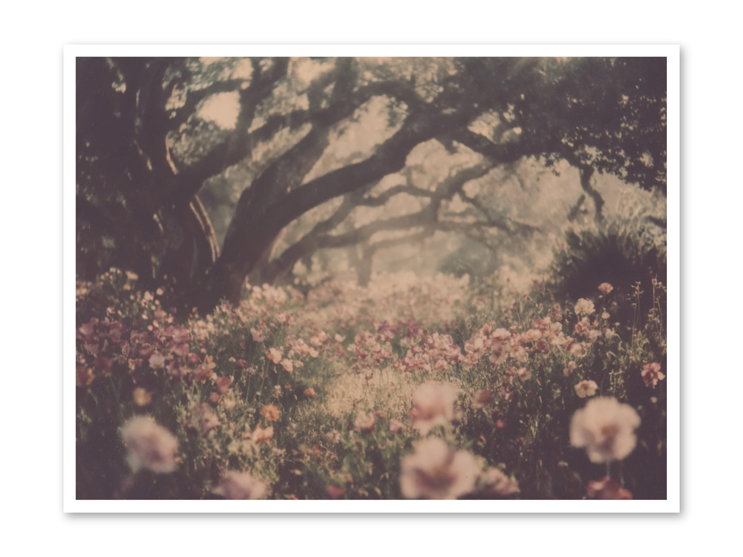 The Sweet Detour -- Paper Print 48x36