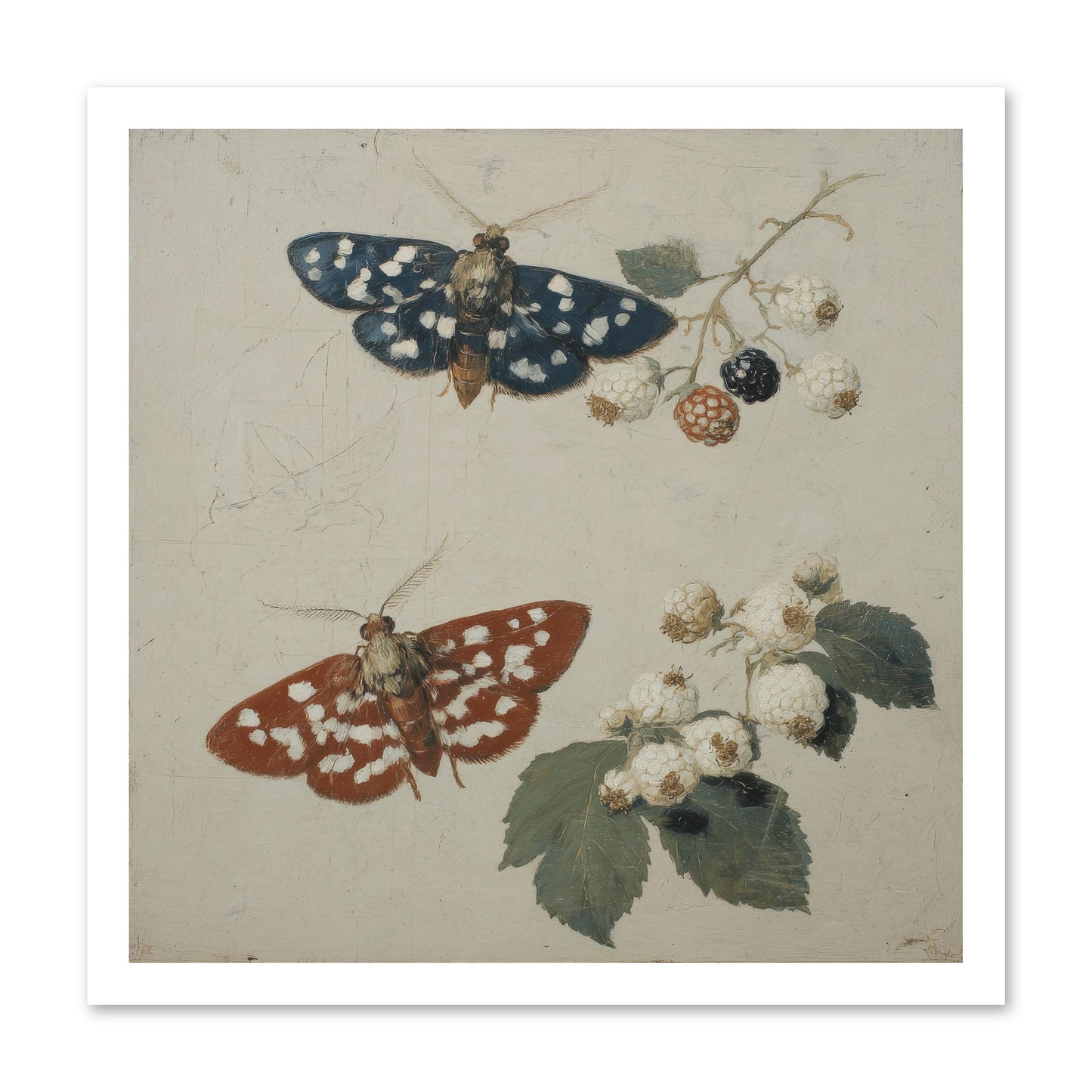 The Thickets Whispered Tales -- Loose Canvas Print 20x20