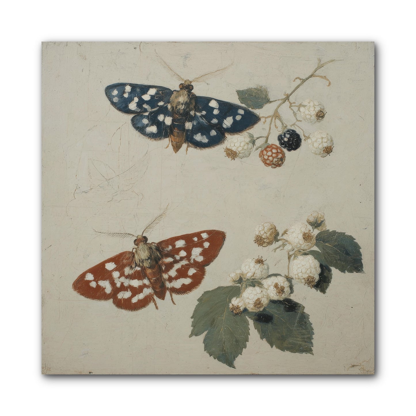 The Thickets Whispered Tales -- Wrapped Canvas 10x10