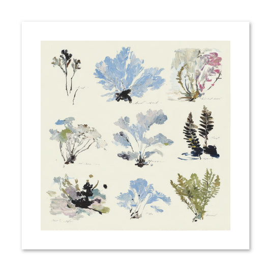 The Unfurling Chronicles No.2 -- Paper Print 10x10