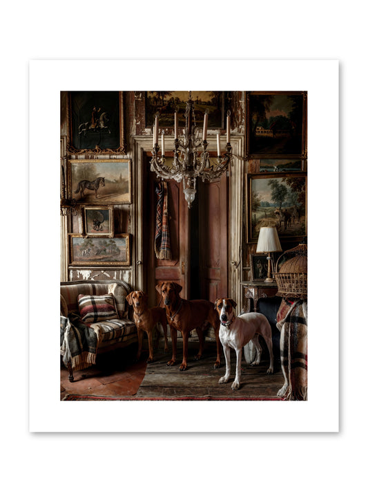 The Woofington Society -- Paper Print 8x10