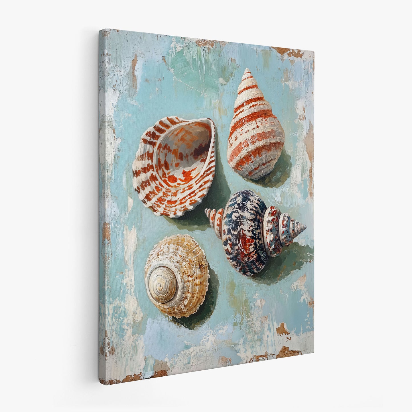 The Shell Collector
