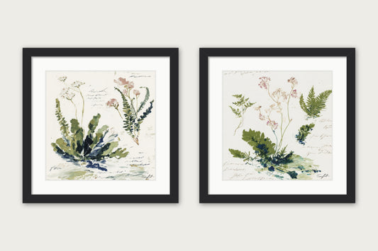The Paris Ferns - Framed Print - Black, 16x16