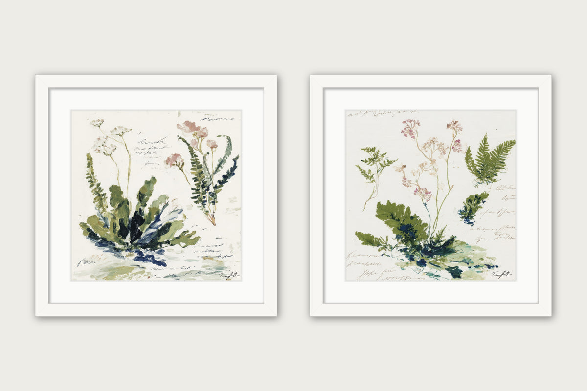 The Paris Ferns - Framed Print - White, 16x16
