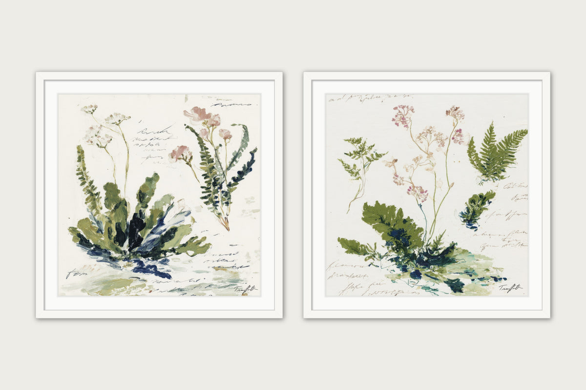 The Paris Ferns - Framed Print - White, 30x30