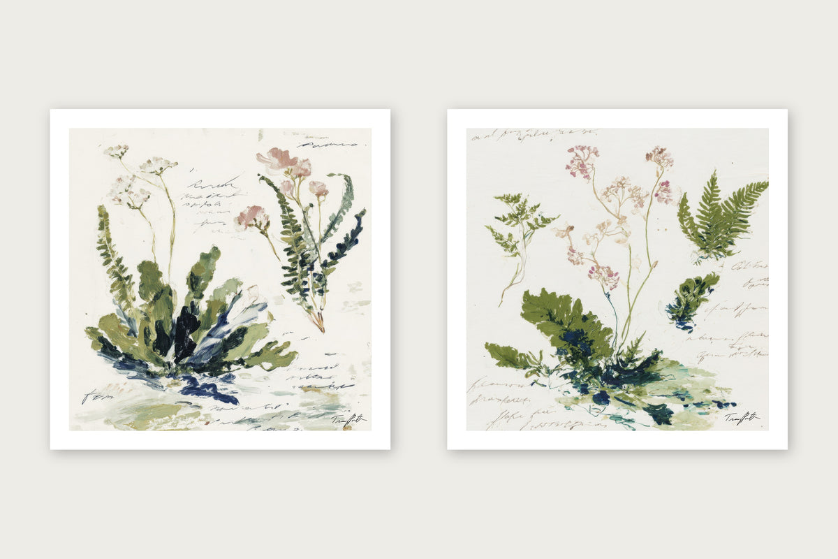 The Paris Ferns - Paper Print, 16x16