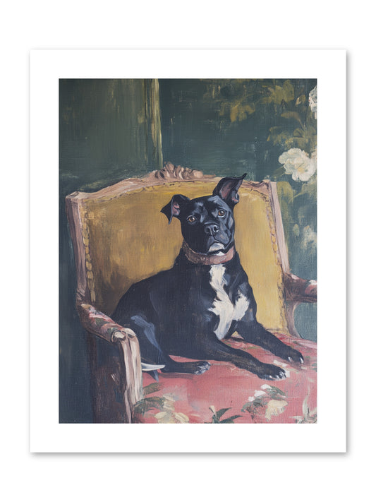 Veranda Velvet -- Paper Print 9x12