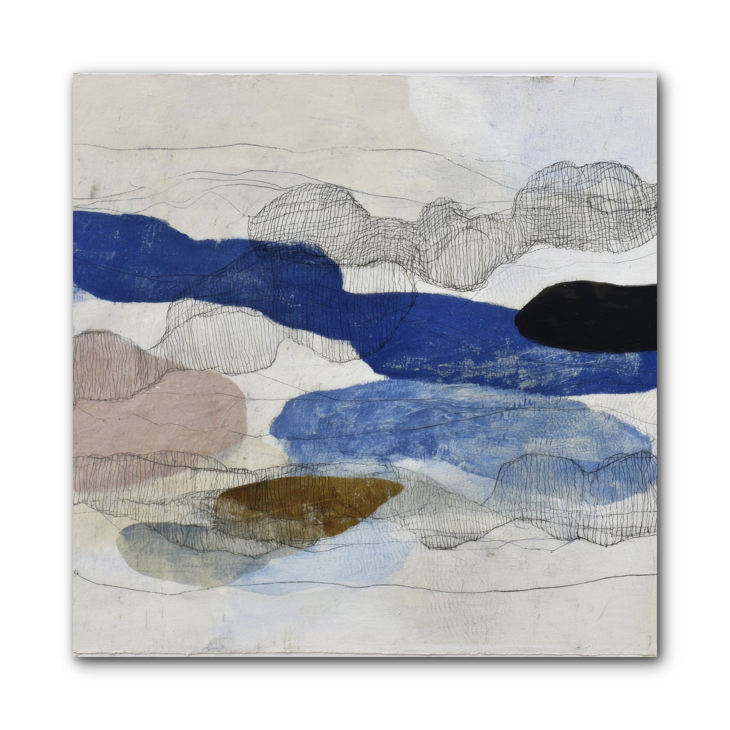 Vireo -- Wrapped Canvas 10x10