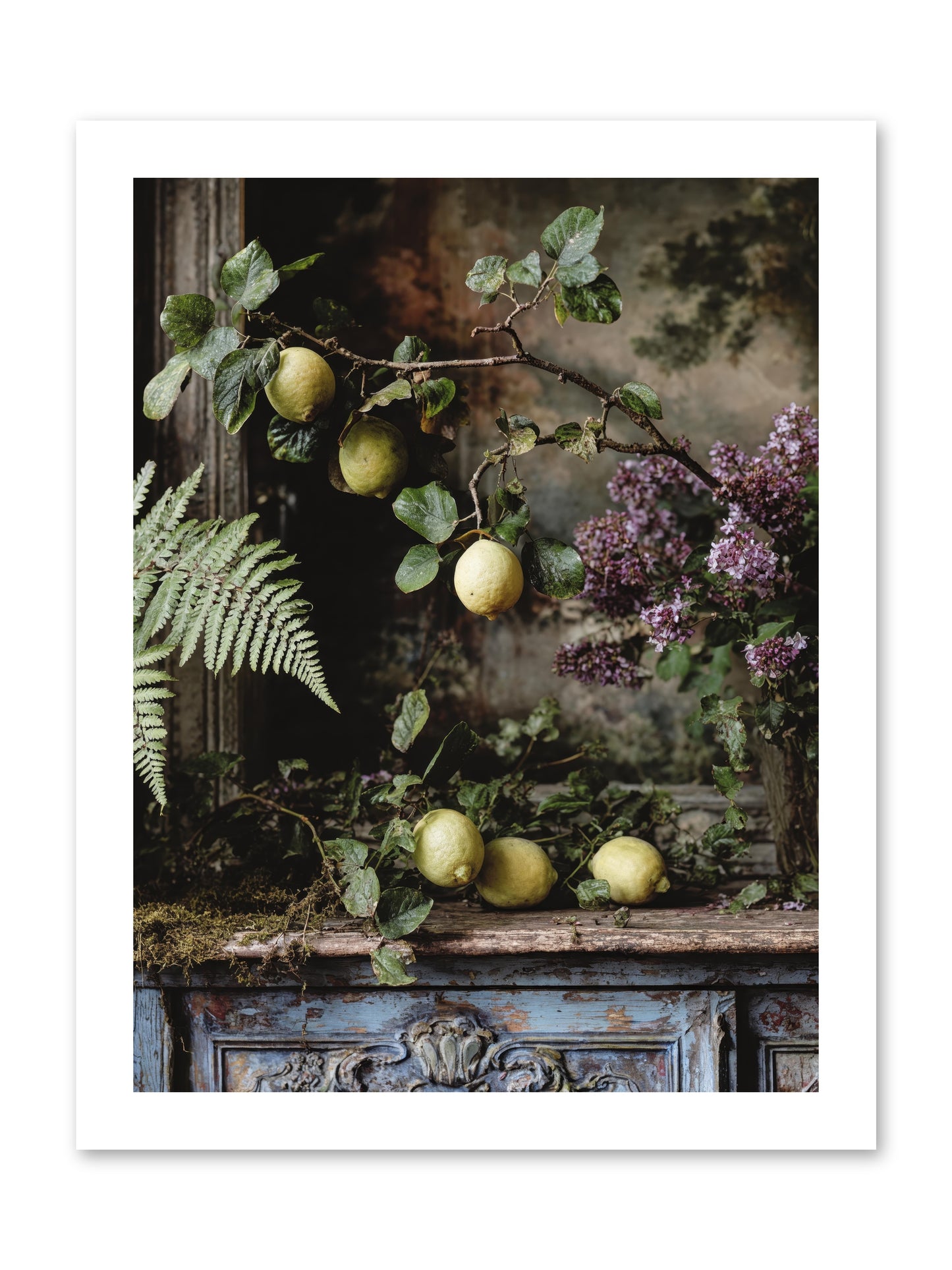 Wallace -- Loose Canvas Print 12x16