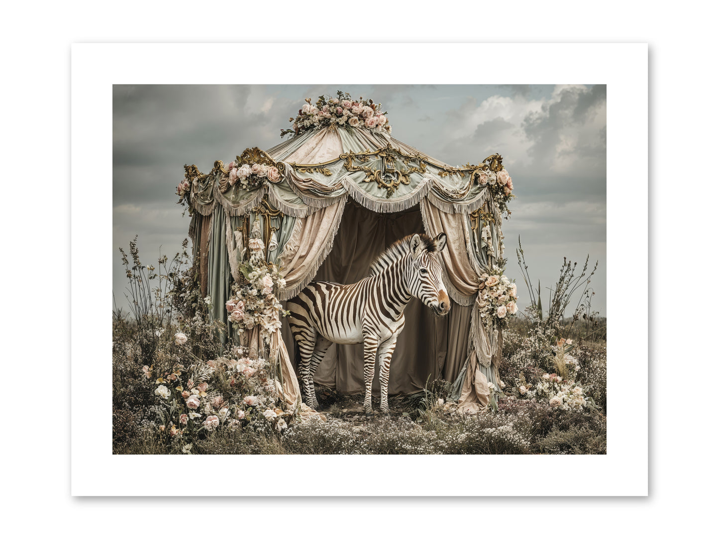 When the Field Remembered Her Name -- Paper Print 12x9