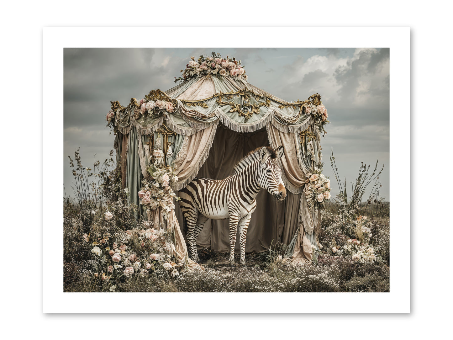 When the Field Remembered Her Name -- Paper Print 16x12