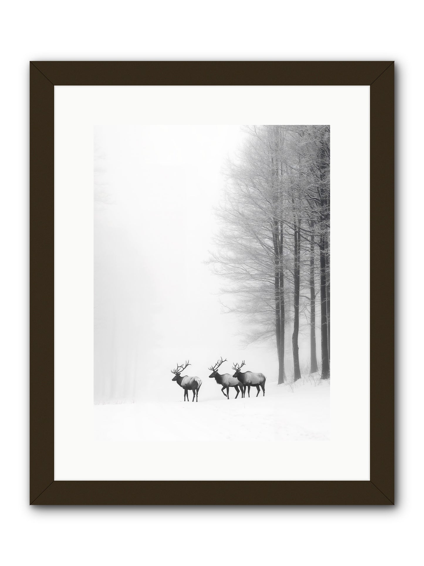 Winter's Grace -- Framed Print - Black 12x16