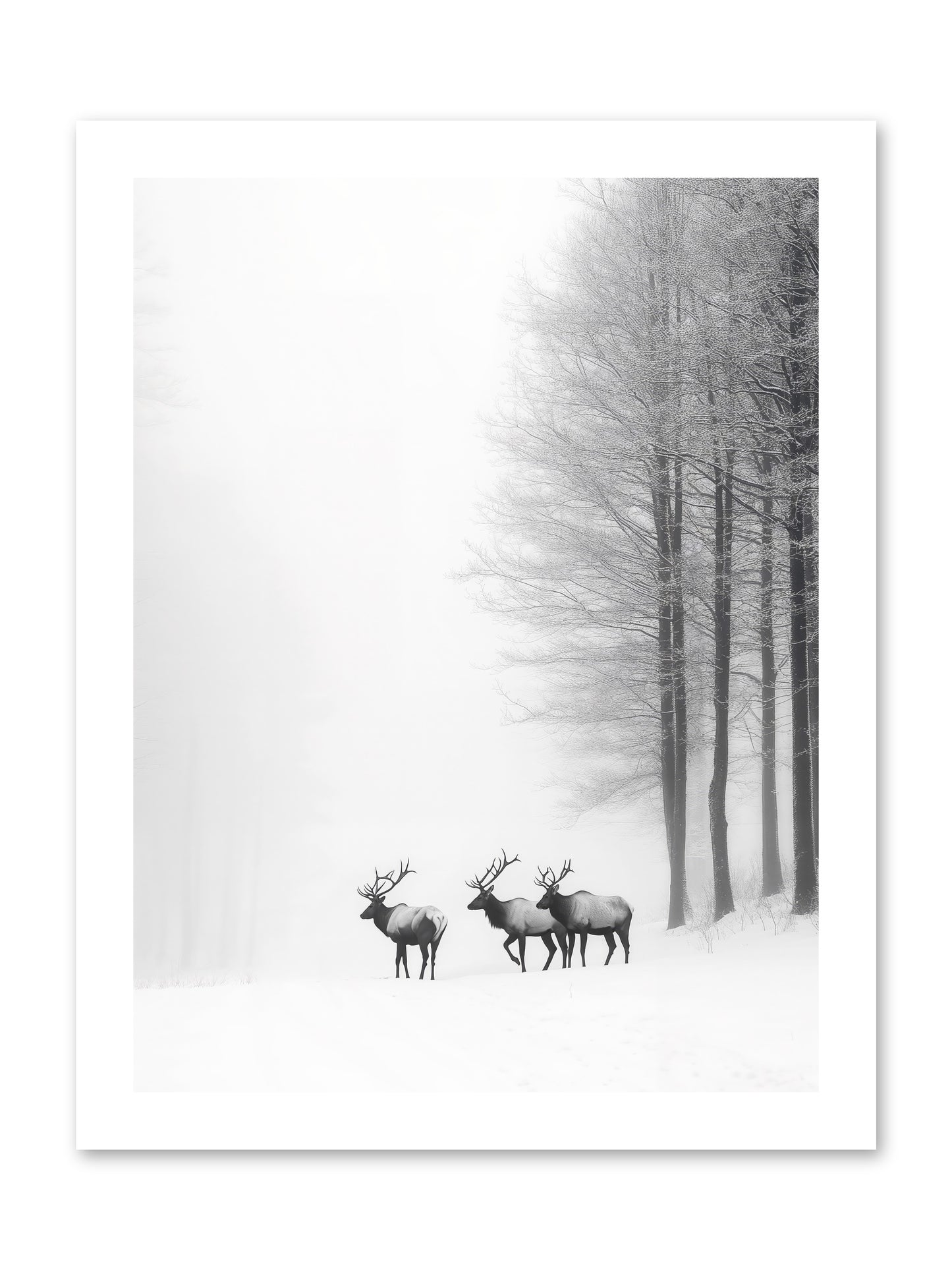 Winter's Grace -- Loose Canvas Print 12x16