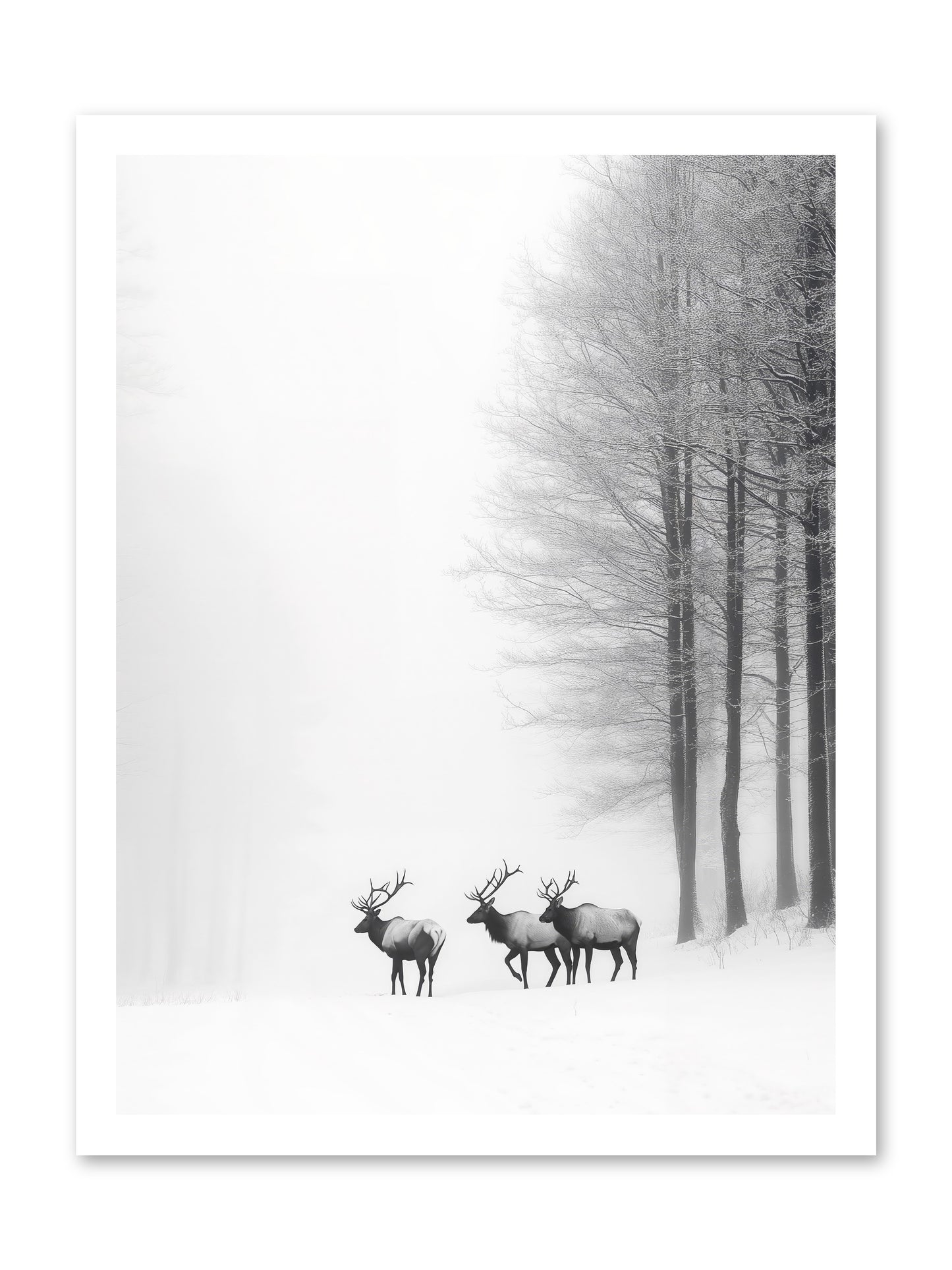 Winter's Grace -- Paper Print 18x24