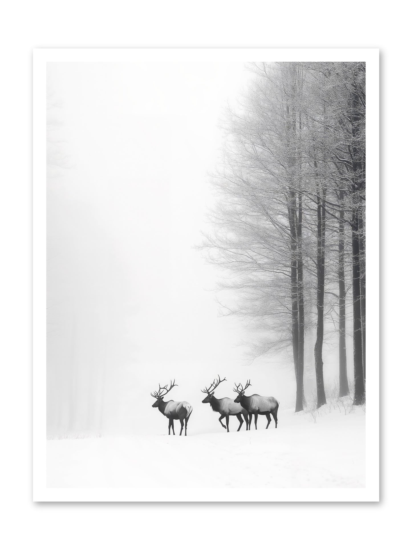 Winter's Grace -- Paper Print 24x32