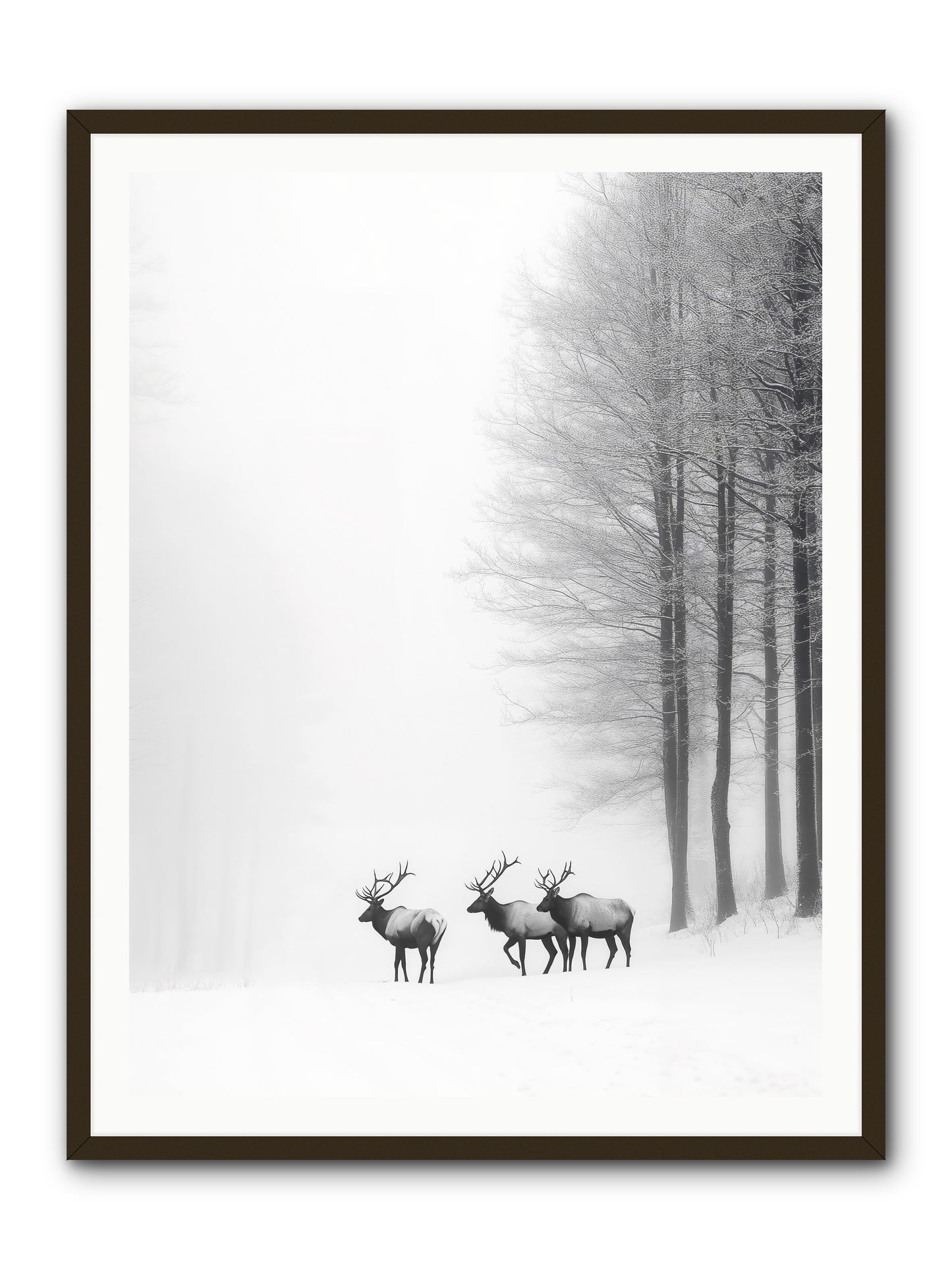 Winter's Grace -- Framed Print - Black 36x48