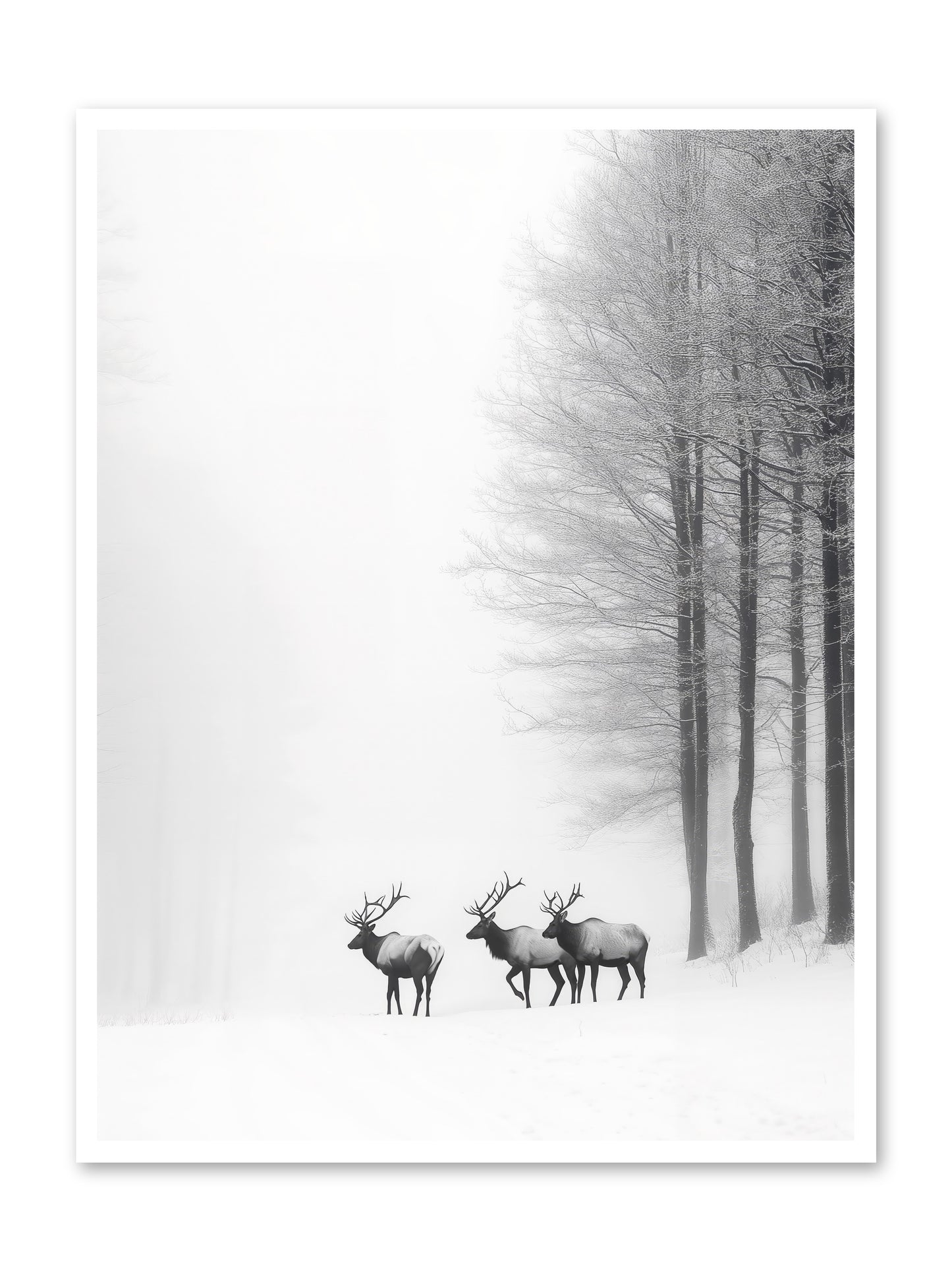Winter's Grace -- Loose Canvas Print 36x48