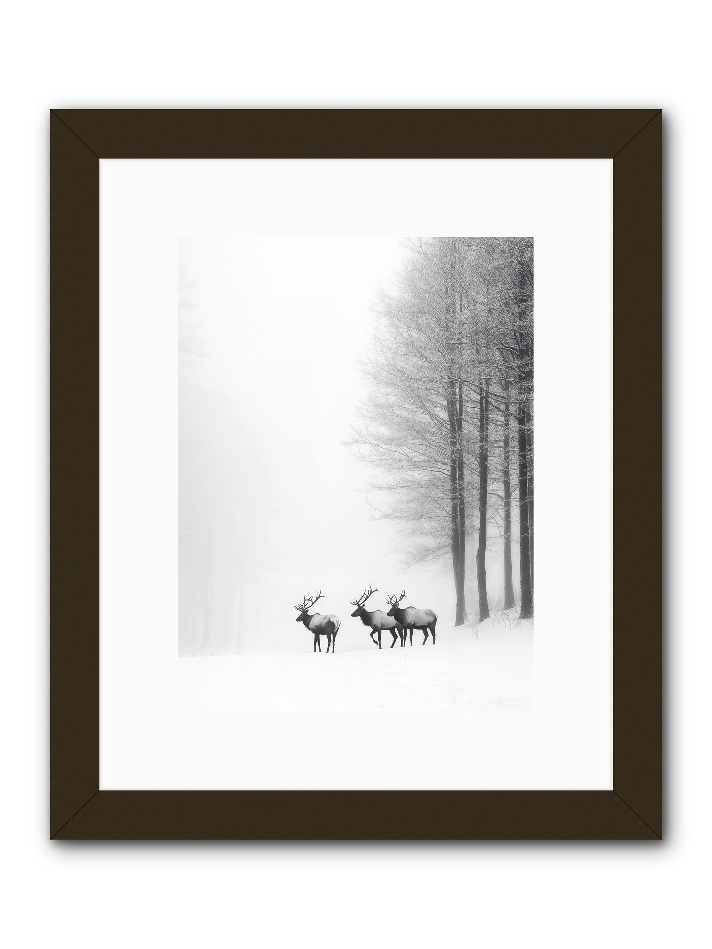 Winter's Grace -- Framed Print - Black 9x12