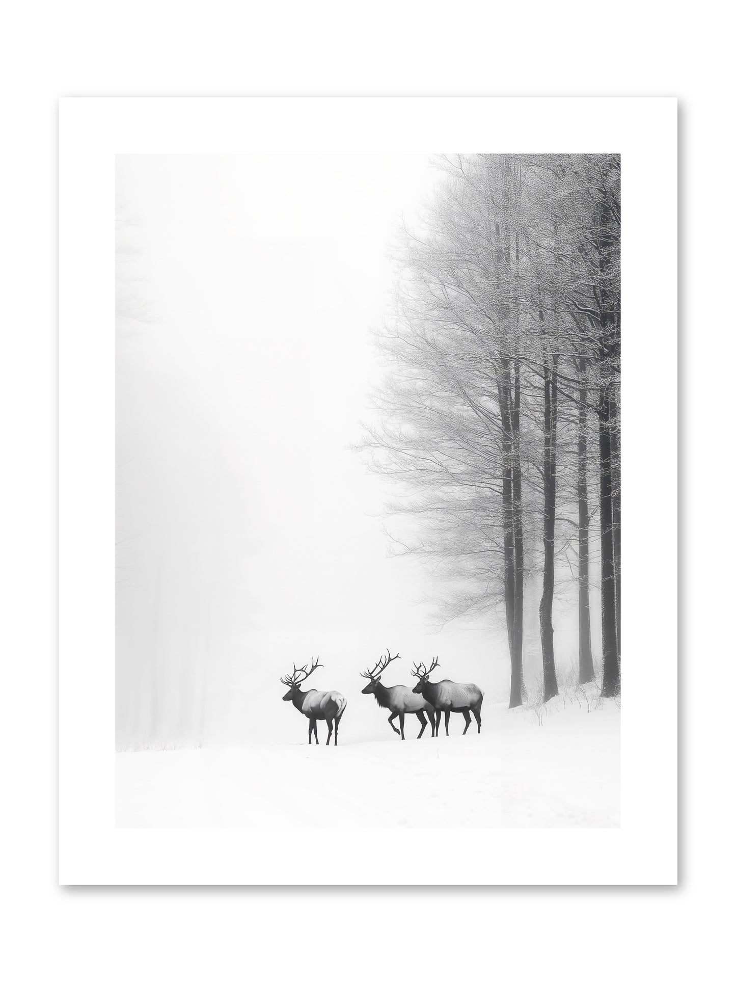 Winter's Grace -- Paper Print 9x12