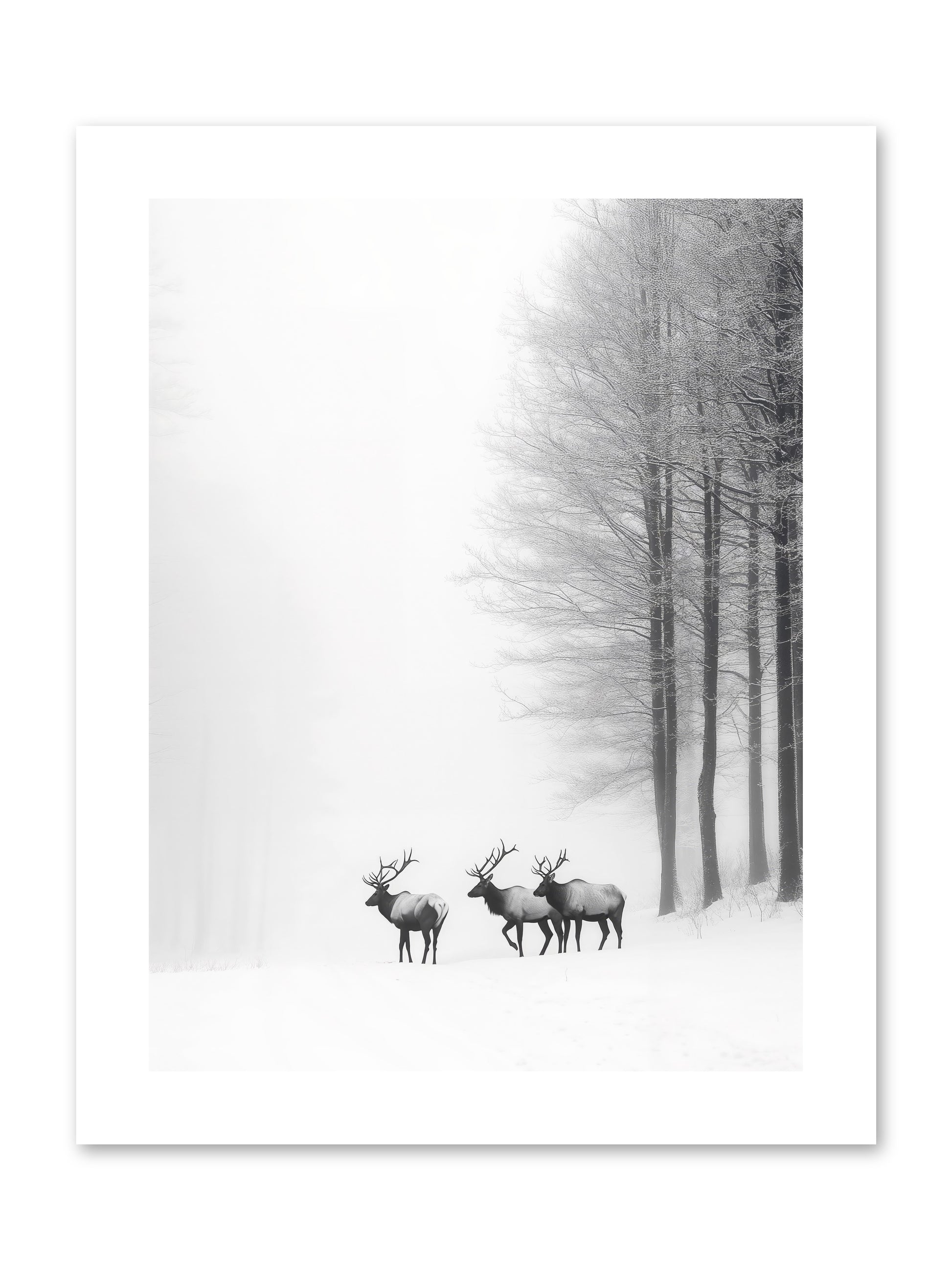 Winter's Grace -- Paper Print 9x12