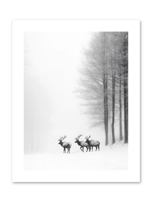 Winter's Grace -- Paper Print 9x12