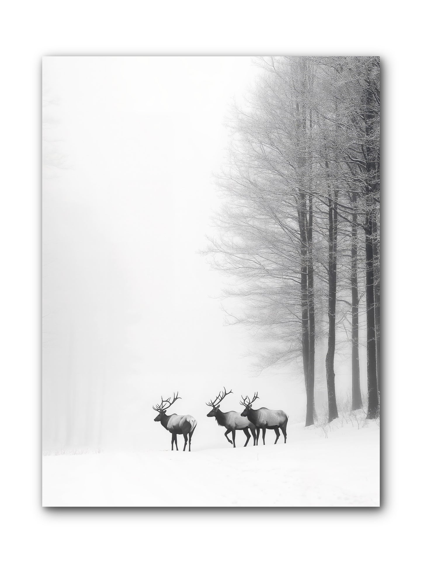 Winter's Grace -- Wrapped Canvas 9x12