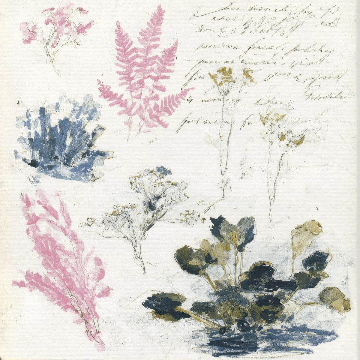 Woodland Memoir No.1_2026