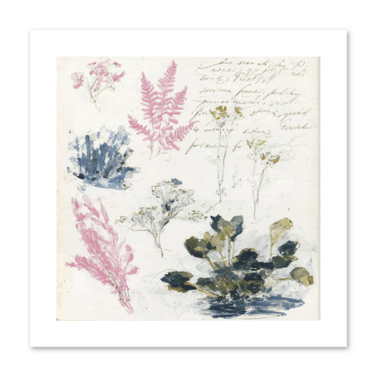 Woodland Memoir No.1 -- Paper Print 10x10
