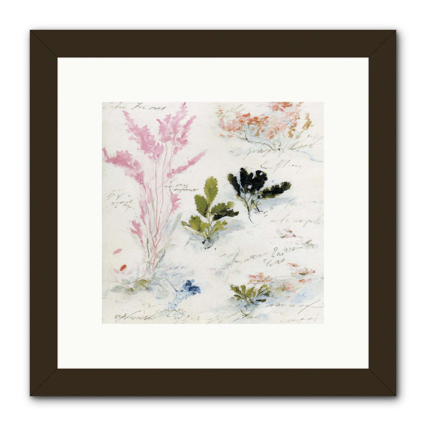 Woodland Memoir No.2 -- Framed Print - Black 10x10