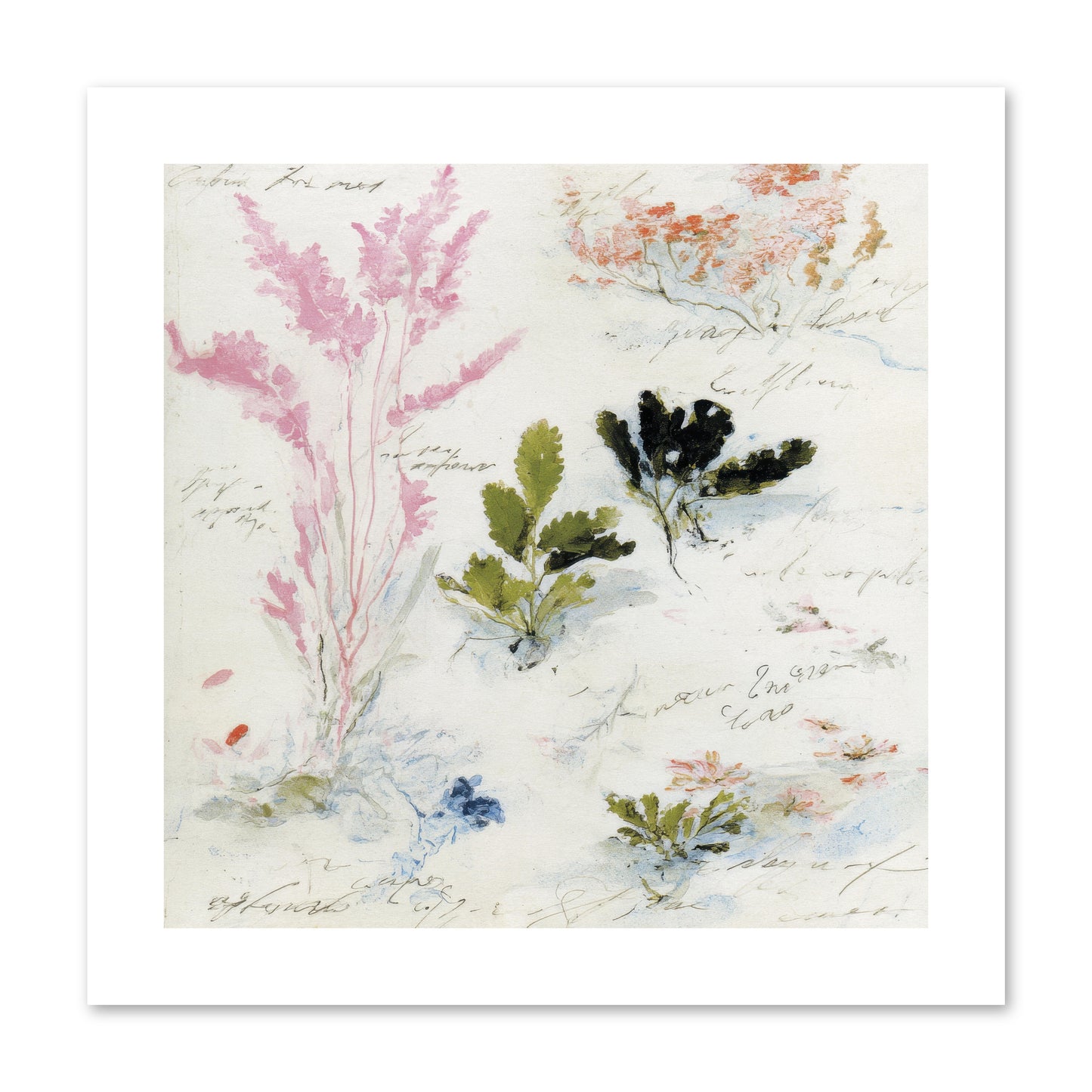 Woodland Memoir No.2 -- Loose Canvas Print 10x10