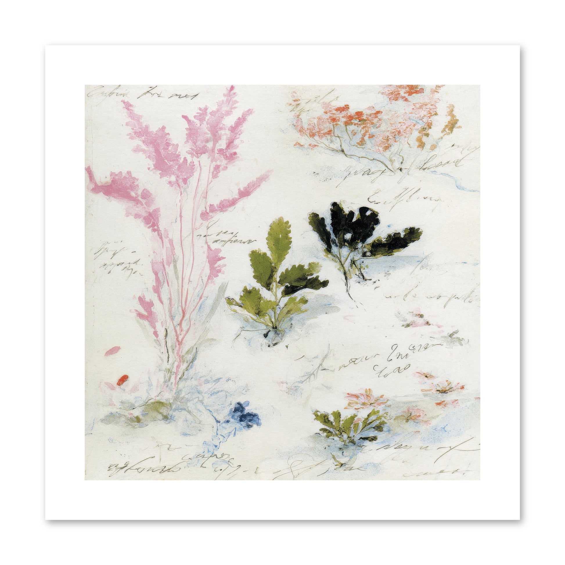 Woodland Memoir No.2 -- Paper Print 10x10