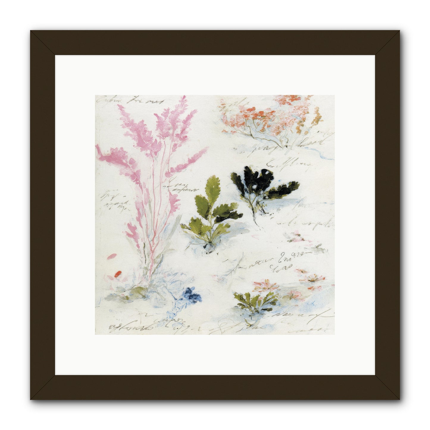 Woodland Memoir No.2 -- Framed Print - Black 12x12