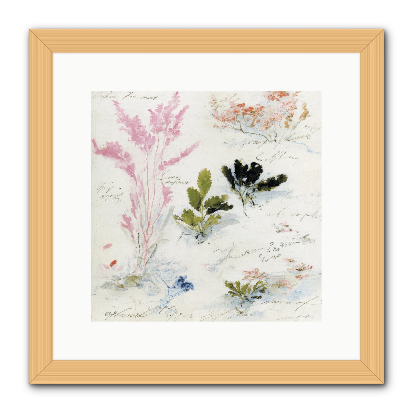 Woodland Memoir No.2 -- Framed Print - Natural 12x12