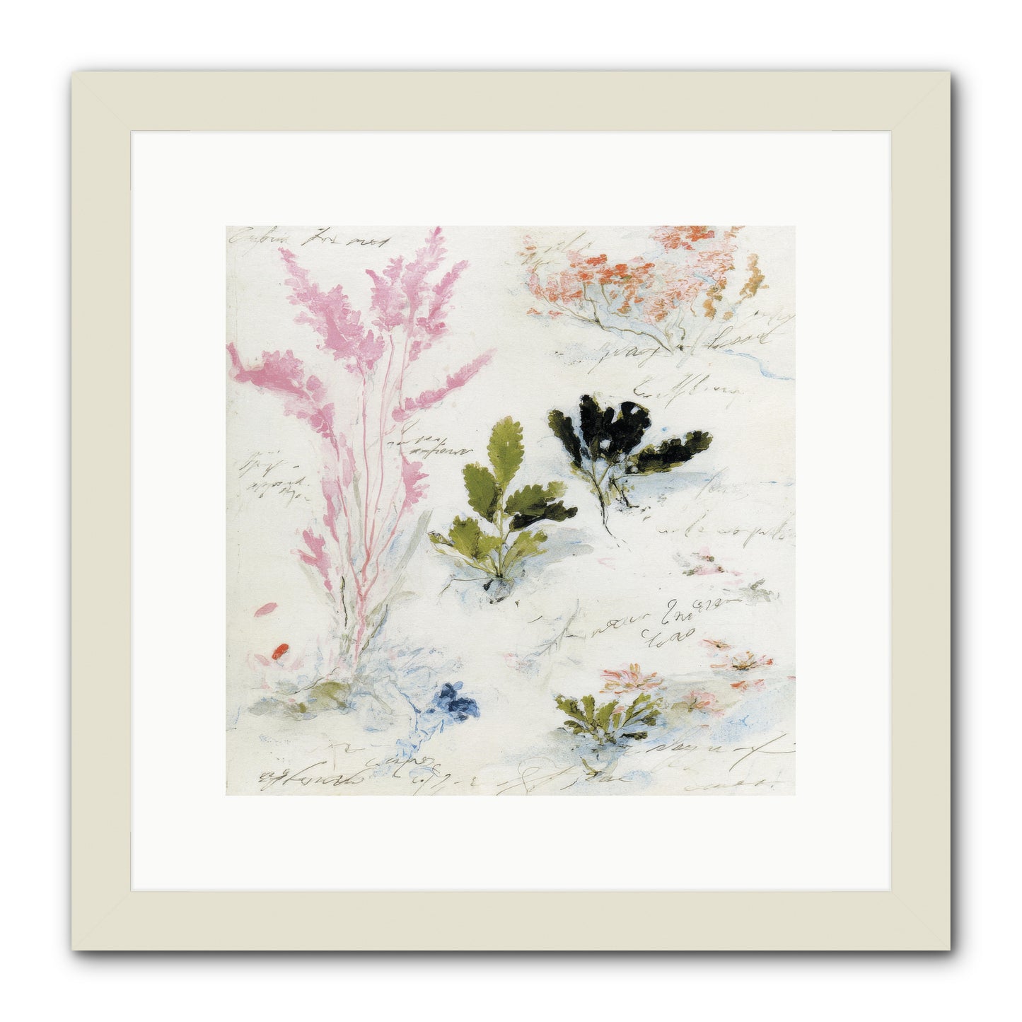 Woodland Memoir No.2 -- Framed Print - White 12x12