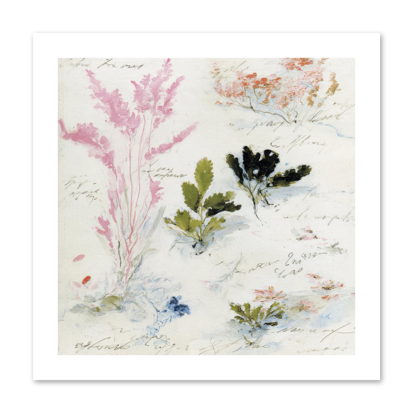 Woodland Memoir No.2 -- Paper Print 12x12
