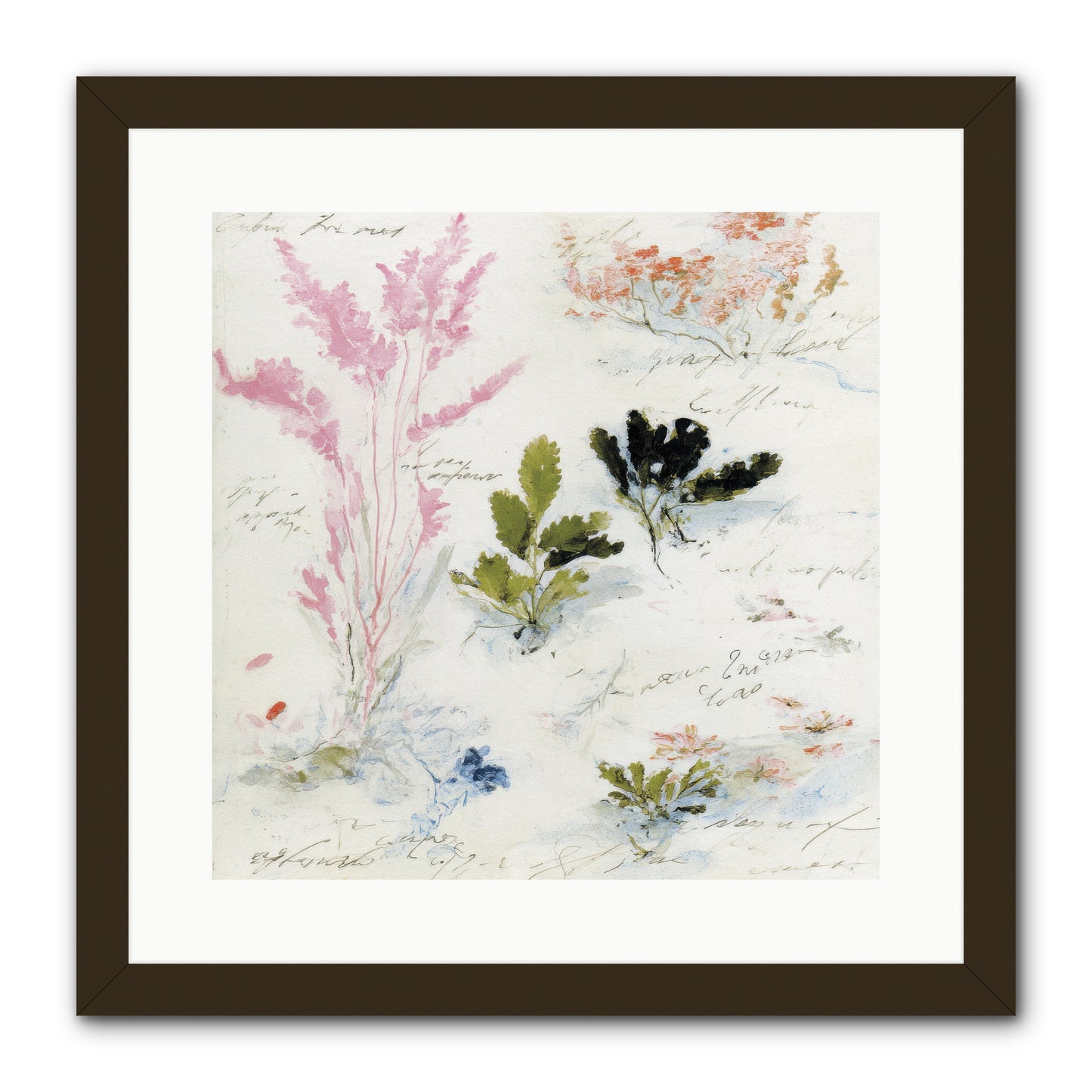 Woodland Memoir No.2 -- Framed Print - Black 16x16