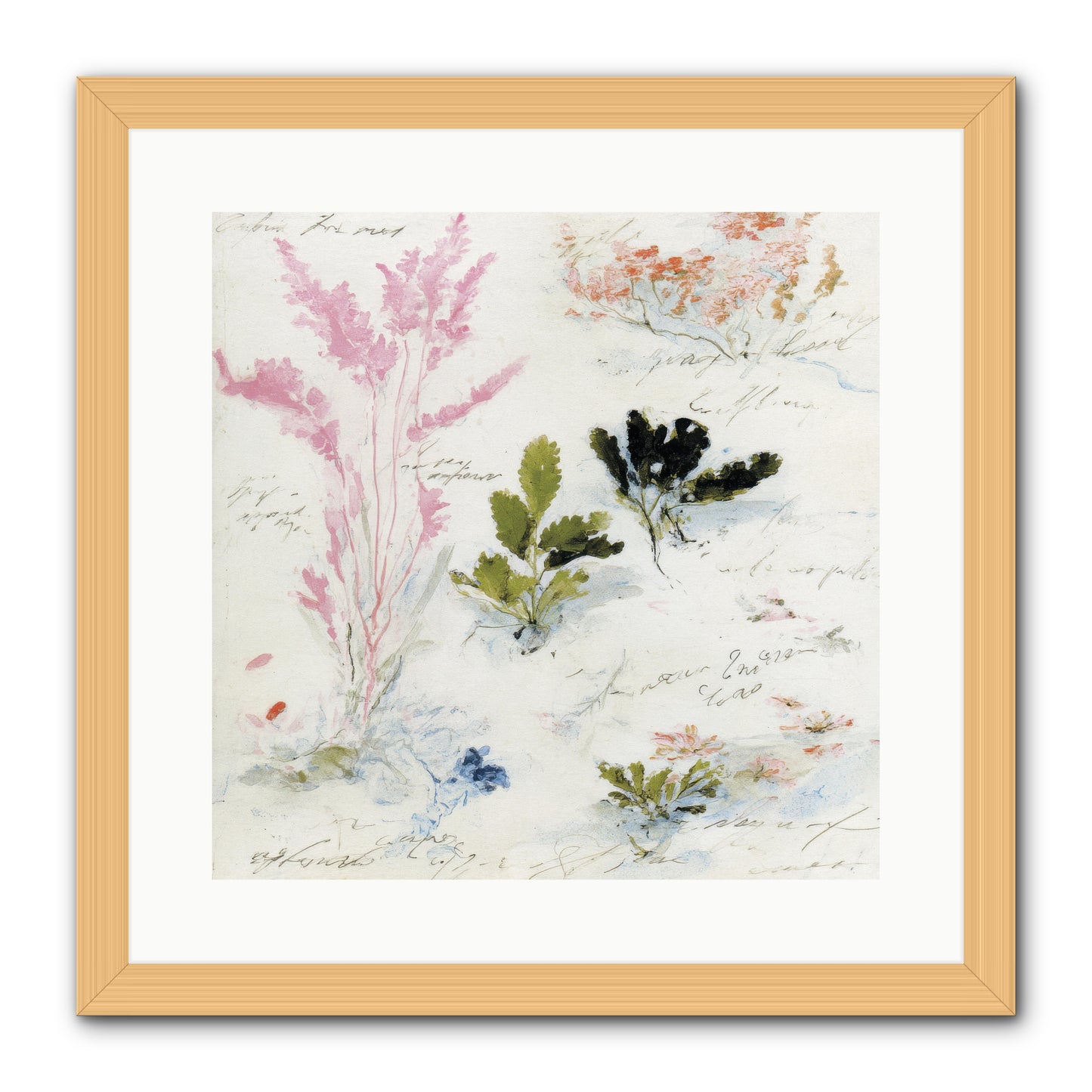 Woodland Memoir No.2 -- Framed Print - Natural 16x16