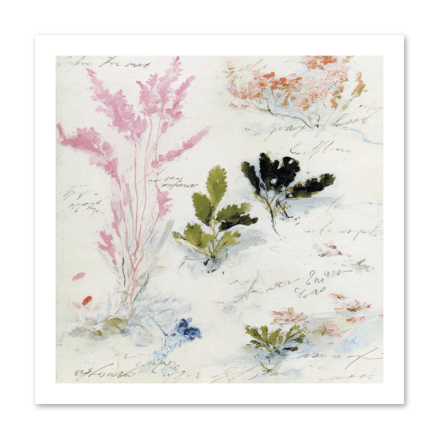 Woodland Memoir No.2 -- Paper Print 16x16