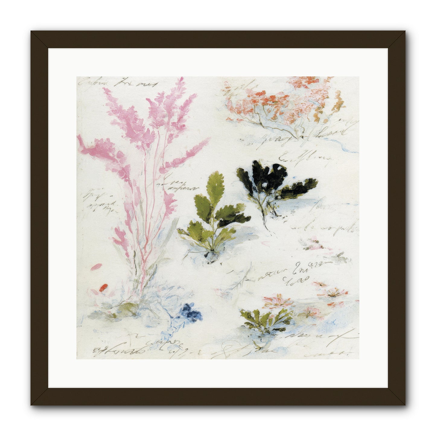 Woodland Memoir No.2 -- Framed Print - Black 20x20