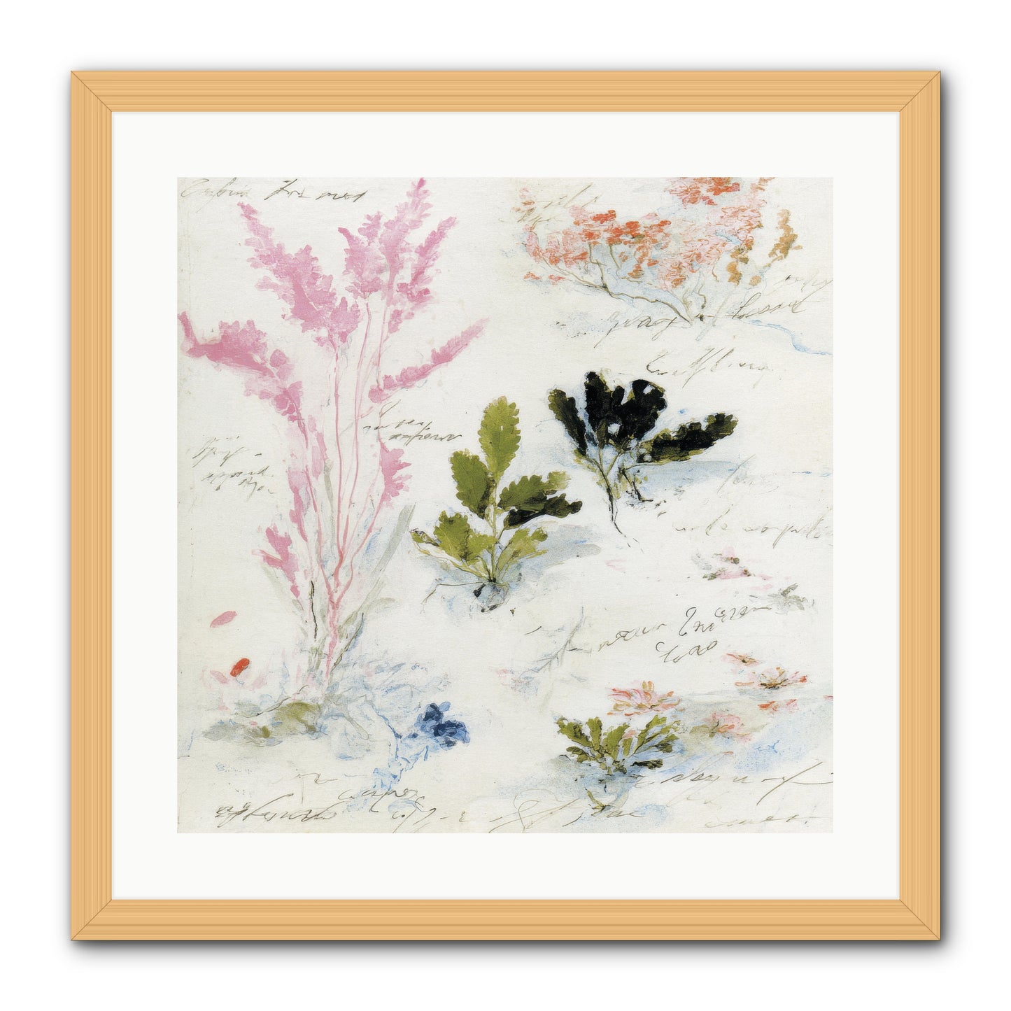 Woodland Memoir No.2 -- Framed Print - Natural 20x20