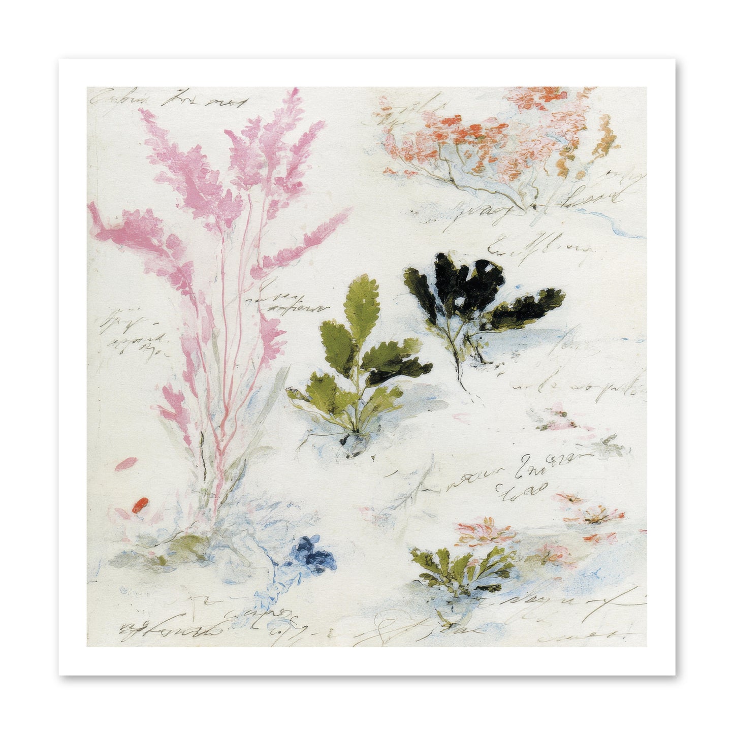 Woodland Memoir No.2 -- Loose Canvas Print 20x20