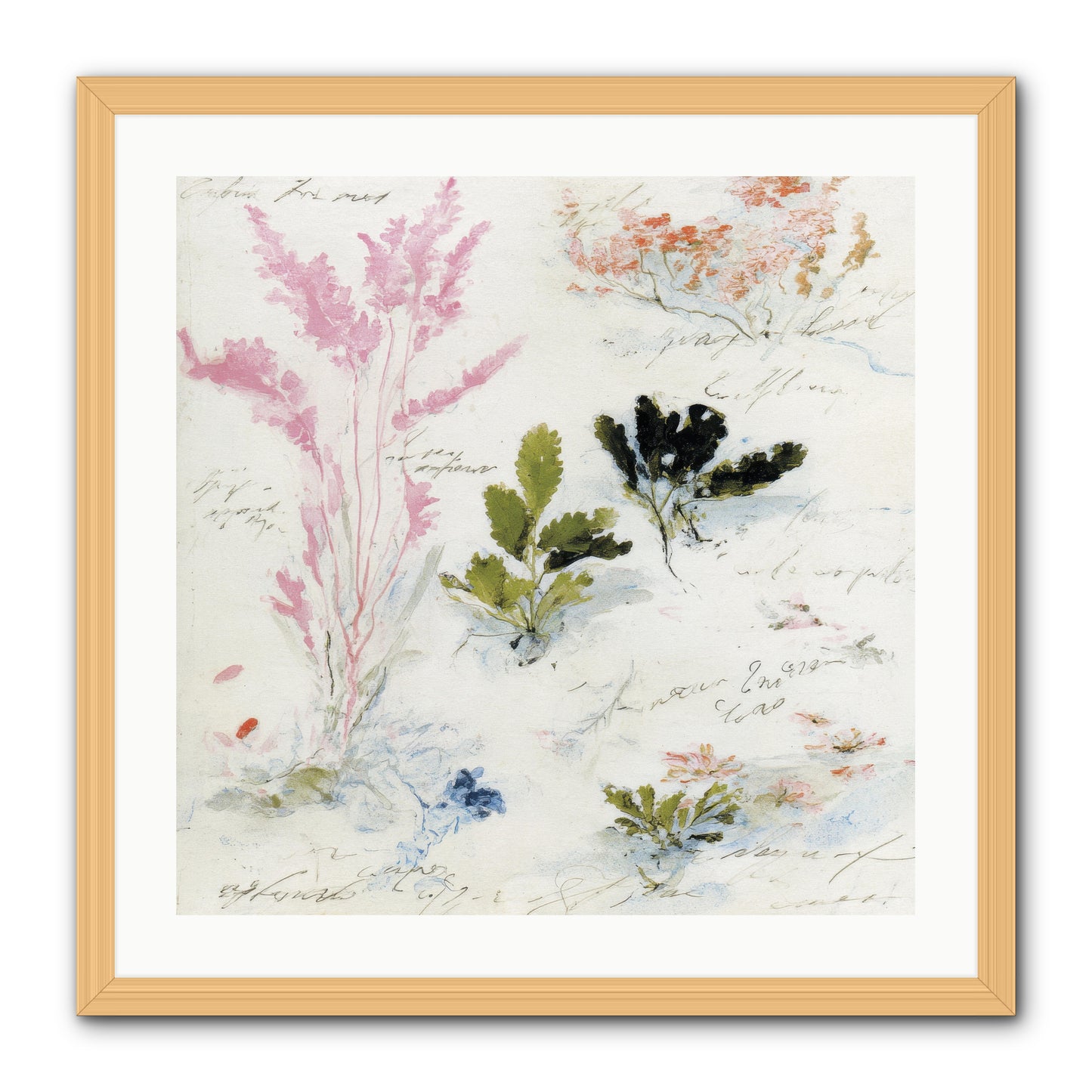 Woodland Memoir No.2 -- Framed Print - Natural 24x24