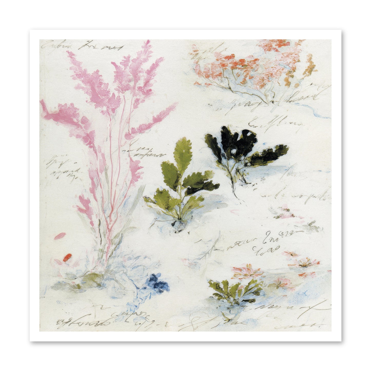 Woodland Memoir No.2 -- Paper Print 30x30