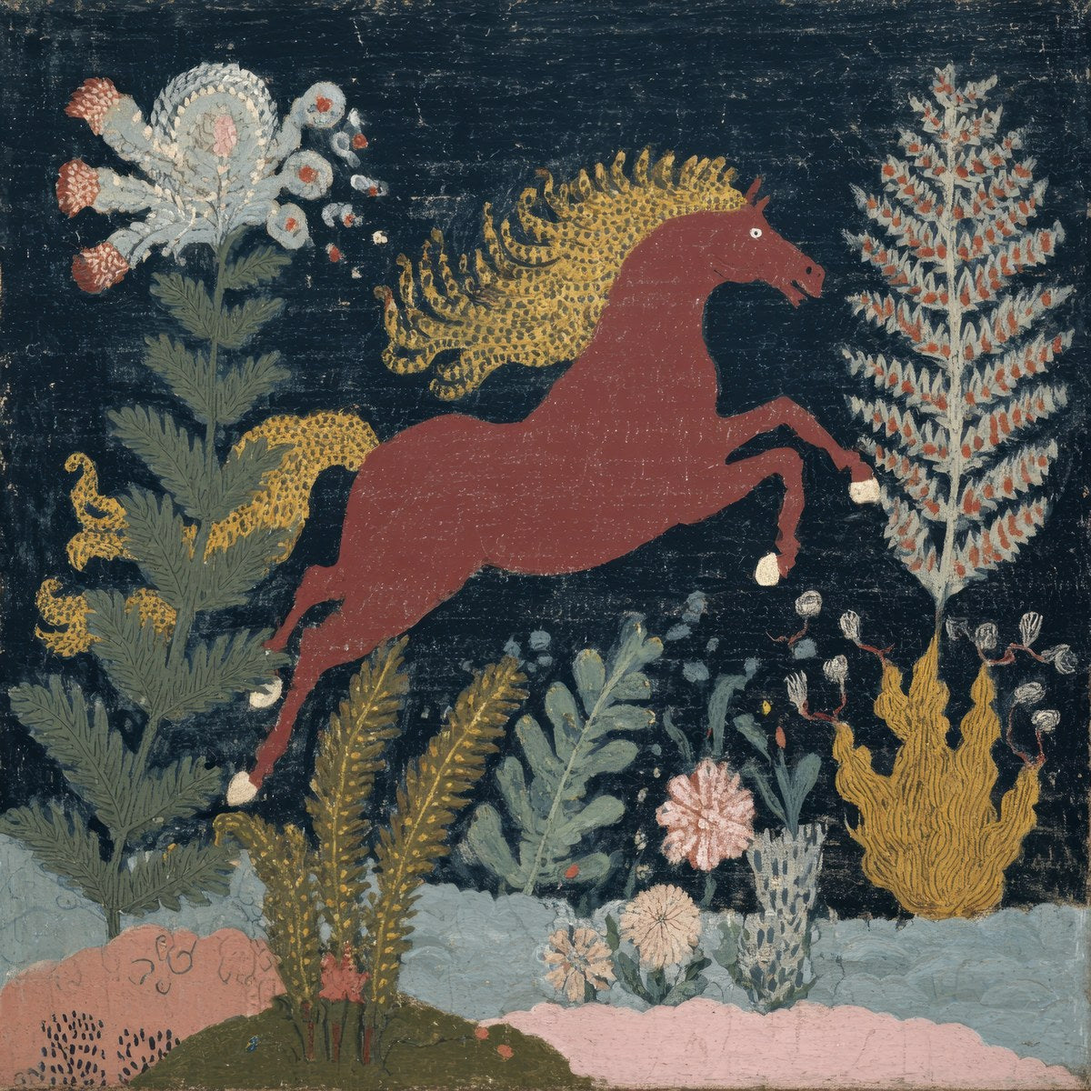 Among Ferns